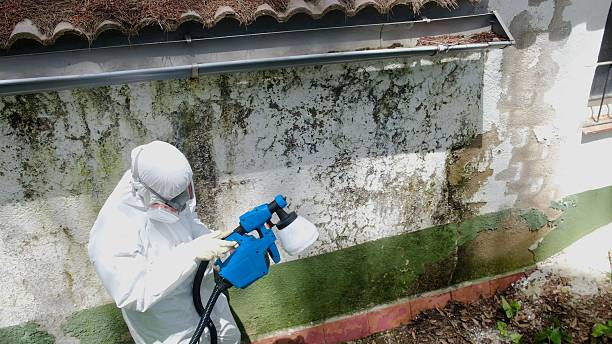 Top rated local Mold Remediation specialists in Butler, NJ